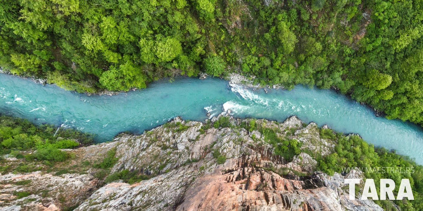 Planina Tara i njen prelep pejzaž u letnjem i zimskom periodu