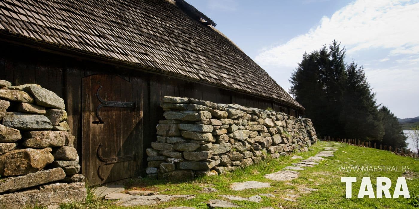 Planina Tara i njen prelep pejzaž u letnjem i zimskom periodu