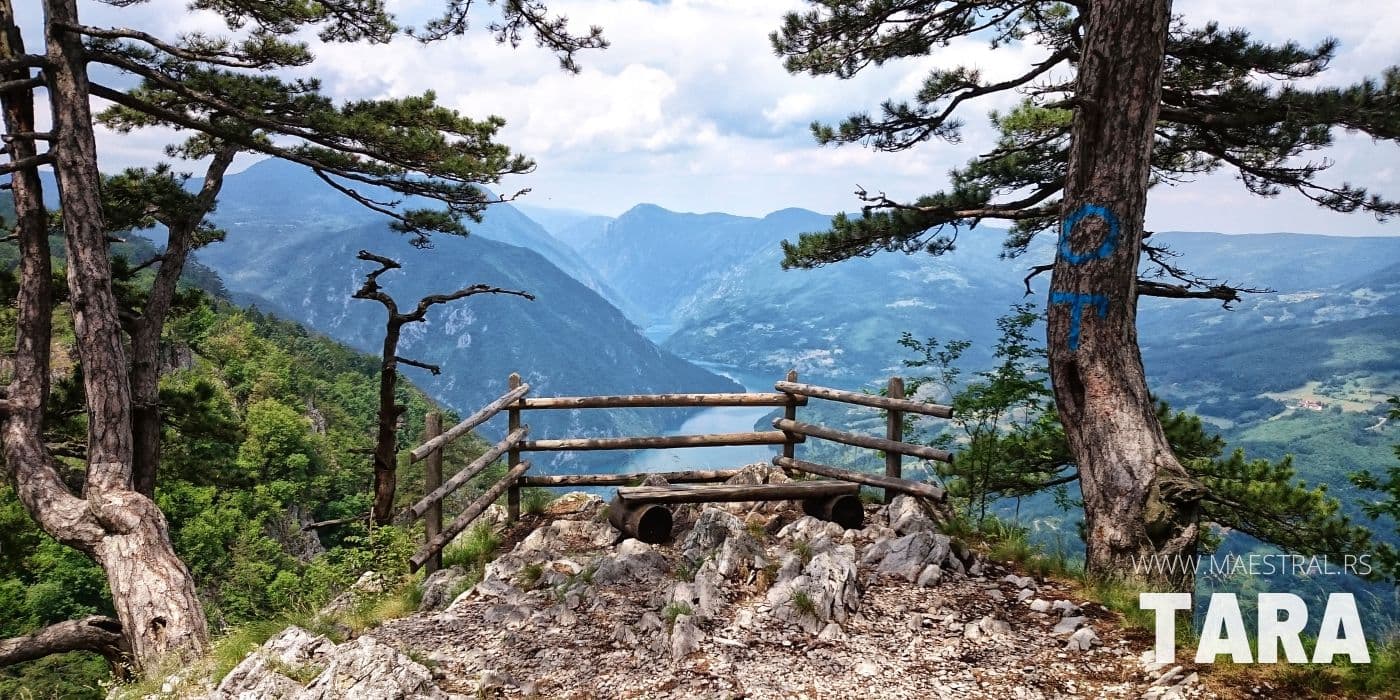 Planina Tara i njen prelep pejzaž u letnjem i zimskom periodu